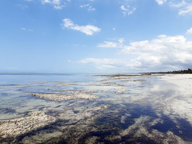 Zanzibar is not far! На гребне «второй волны»