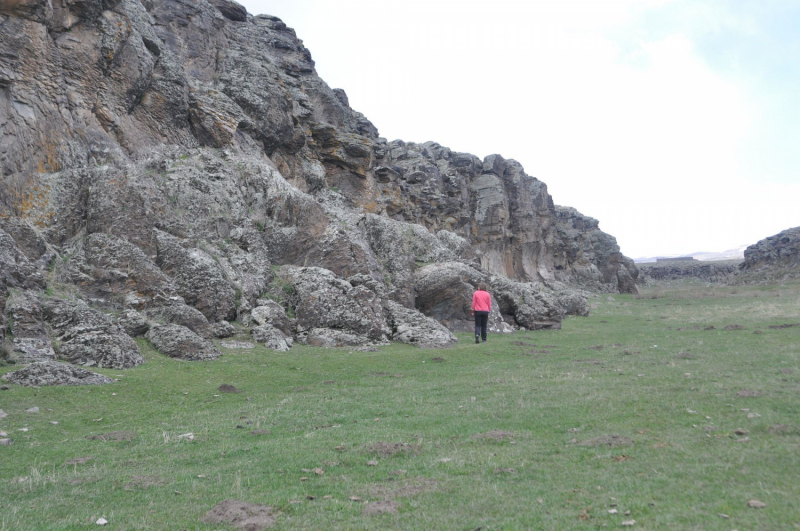 Карс, петроглифы