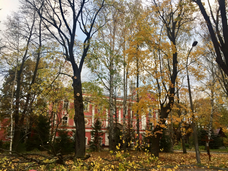 «Как я провёл этим летом» ©️ или неспешные прогулки по окрестностям Петербурга в ковидную годину