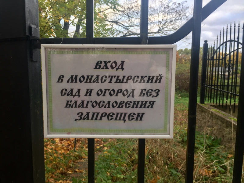 «Как я провёл этим летом» ©️ или неспешные прогулки по окрестностям Петербурга в ковидную годину
