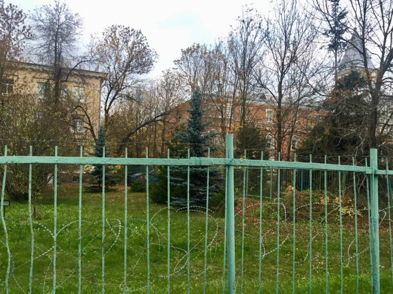 «Как я провёл этим летом» ©️ или неспешные прогулки по окрестностям Петербурга в ковидную годину