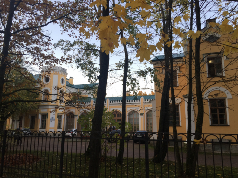 «Как я провёл этим летом» ©️ или неспешные прогулки по окрестностям Петербурга в ковидную годину