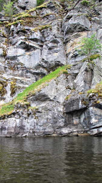 «Долго будет Карелия сниться». Июль 2020.