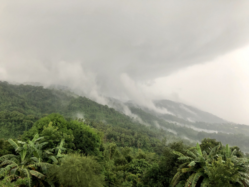 Ветер перемен или Манила заманила.
