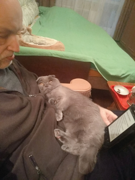 Кошки в нашей жизни. Кошки и все, что с ними связано.