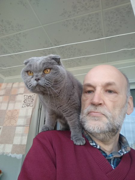 Кошки в нашей жизни. Кошки и все, что с ними связано.