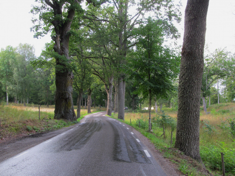 Вело Швеция (через Финляндию) август 2019г