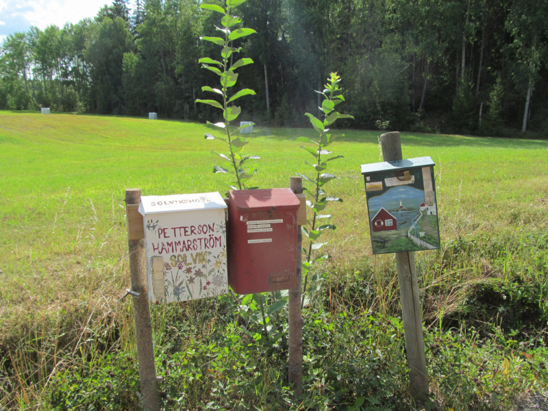 Вело Швеция (через Финляндию) август 2019г