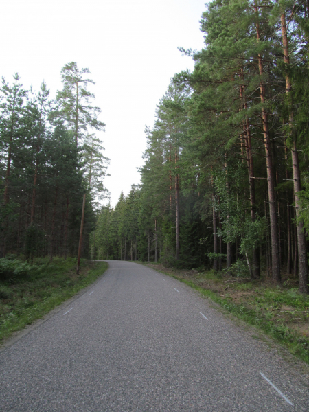 Вело Швеция (через Финляндию) август 2019г