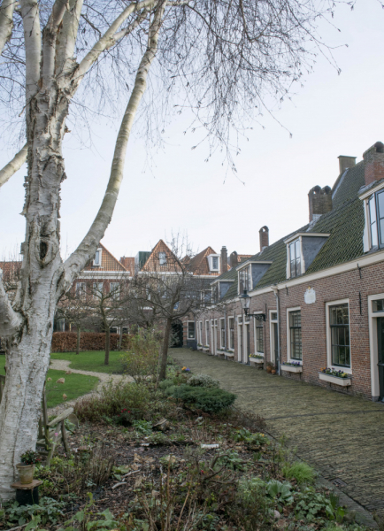 Бельгия, Нидерланды зимой 2020: поверхностно, но душевно