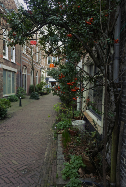 Бельгия, Нидерланды зимой 2020: поверхностно, но душевно