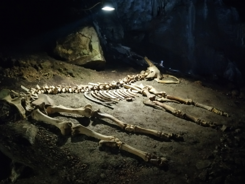 Одна отчаянная блондинка и 15 дней в Крыму. После прочтения ты точно начнешь собирать чемодан