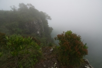 Юг Бразилии (Камбара-ду-Сул - Грамадо - Канела), январь 2012