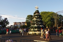 Юг Бразилии (Камбара-ду-Сул - Грамадо - Канела), январь 2012