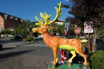 Юг Бразилии (Камбара-ду-Сул - Грамадо - Канела), январь 2012