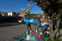 Юг Бразилии (Камбара-ду-Сул - Грамадо - Канела), январь 2012