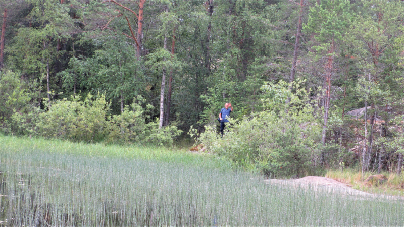 «Долго будет Карелия сниться». Июль 2020.