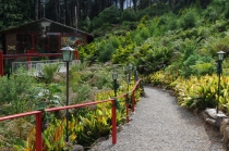 Юг Бразилии (Камбара-ду-Сул - Грамадо - Канела), январь 2012