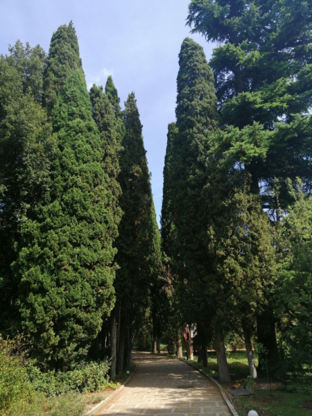 Одна отчаянная блондинка и 15 дней в Крыму. После прочтения ты точно начнешь собирать чемодан