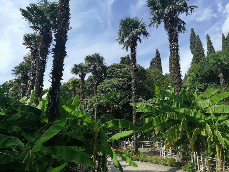 Одна отчаянная блондинка и 15 дней в Крыму. После прочтения ты точно начнешь собирать чемодан