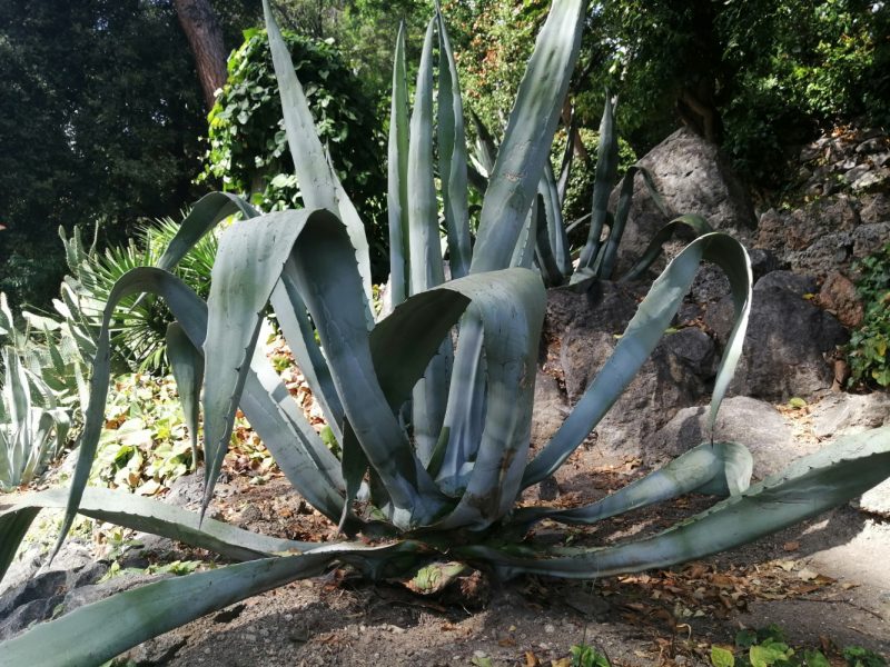 Одна отчаянная блондинка и 15 дней в Крыму. После прочтения ты точно начнешь собирать чемодан