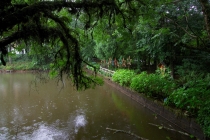 Юг Бразилии (Камбара-ду-Сул - Грамадо - Канела), январь 2012