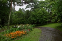 Юг Бразилии (Камбара-ду-Сул - Грамадо - Канела), январь 2012