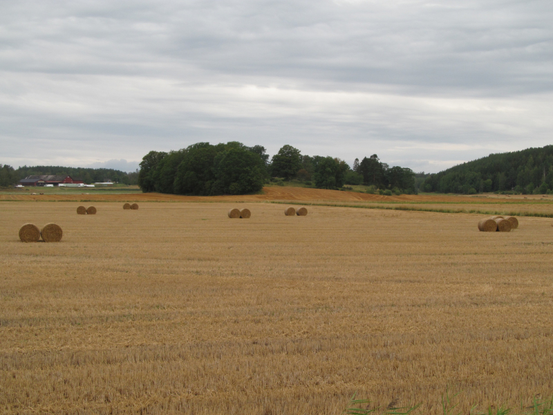 Вело Швеция (через Финляндию) август 2019г