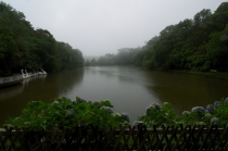 Юг Бразилии (Камбара-ду-Сул - Грамадо - Канела), январь 2012