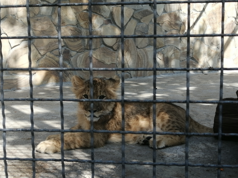 Одна отчаянная блондинка и 15 дней в Крыму. После прочтения ты точно начнешь собирать чемодан