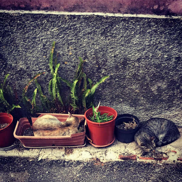 Большое испанское (и немножко португальское) лето 2018