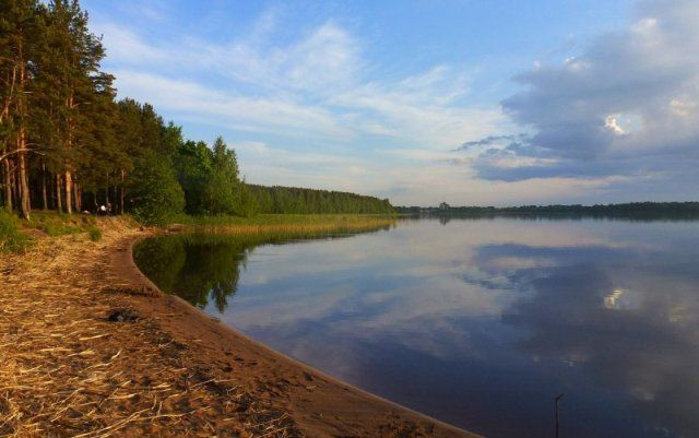 «Как я провёл этим летом» ©️ или неспешные прогулки по окрестностям Петербурга в ковидную годину