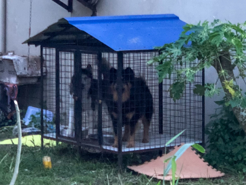 Ветер перемен или Манила заманила.