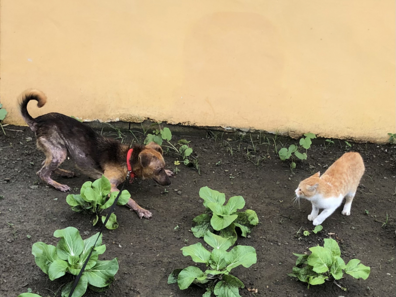 Ветер перемен или Манила заманила.