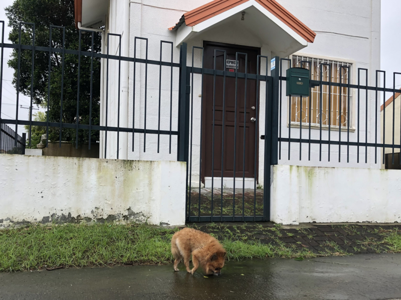 Ветер перемен или Манила заманила.