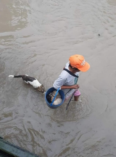 Ветер перемен или Манила заманила.