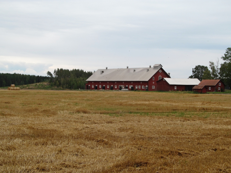 Вело Швеция (через Финляндию) август 2019г