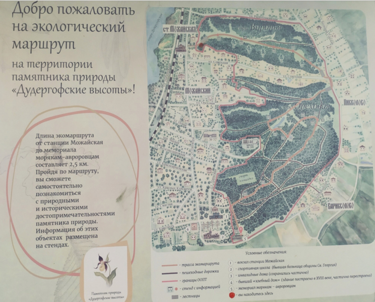 «Как я провёл этим летом» ©️ или неспешные прогулки по окрестностям Петербурга в ковидную годину