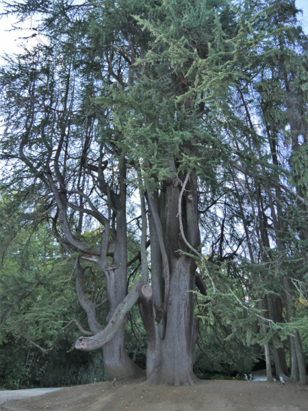 Провинциальная Португалия