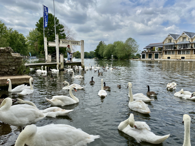 Британский гранд вояж на авто или «Отпуск — это маленькая жизнь»