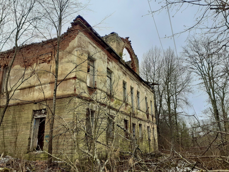 «Как я провёл этим летом» ©️ или неспешные прогулки по окрестностям Петербурга в ковидную годину