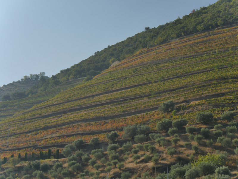 Провинциальная Португалия