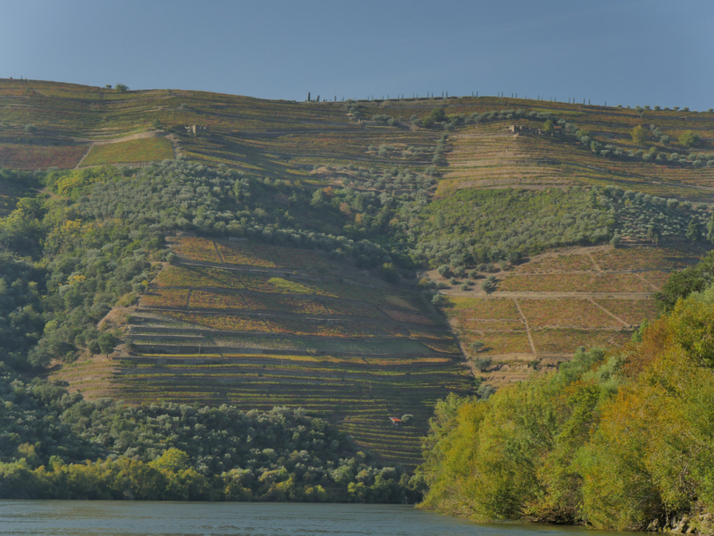 Провинциальная Португалия