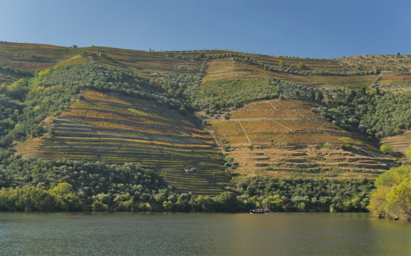 Провинциальная Португалия