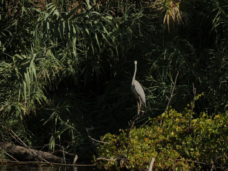 Провинциальная Португалия