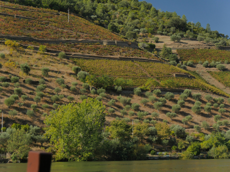 Провинциальная Португалия