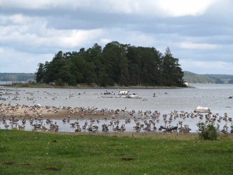 Вело Швеция (через Финляндию) август 2019г
