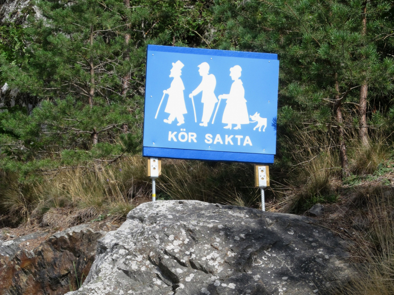 Вело Швеция (через Финляндию) август 2019г