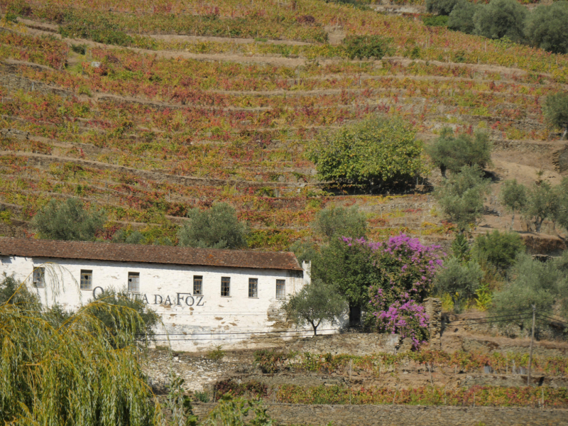 Провинциальная Португалия