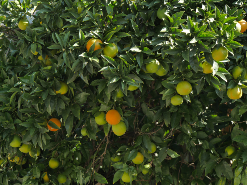 Провинциальная Португалия